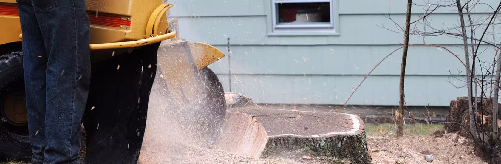 Stump Grinding Auckland